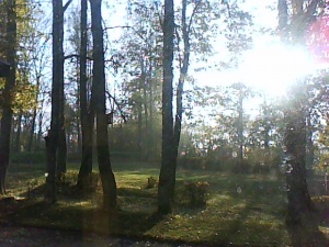 rytas parke