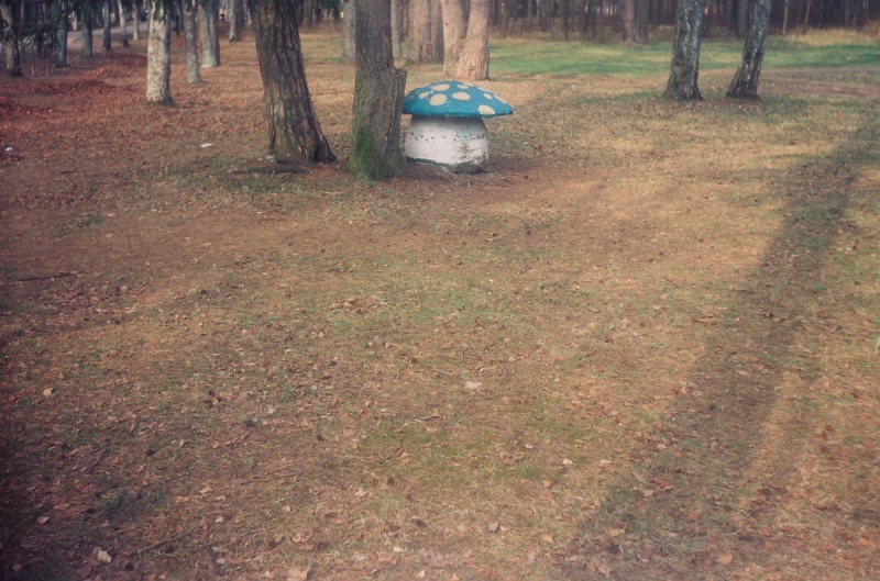 Vaizdas:Radom grybų 683.jpg