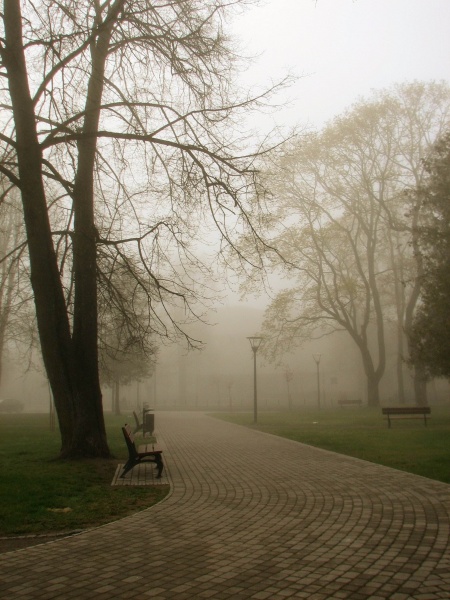 Vaizdas:RŪKAS PARKE 40.jpg