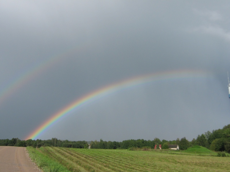 Vaizdas:Drignė 727.jpg