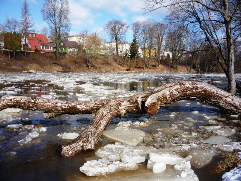 Vaizdas:Potvynis 569.jpg