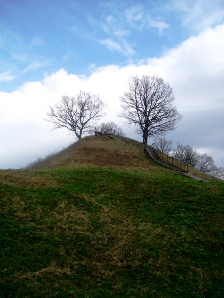 Vaizdas:Nevyksta karas 420.jpg
