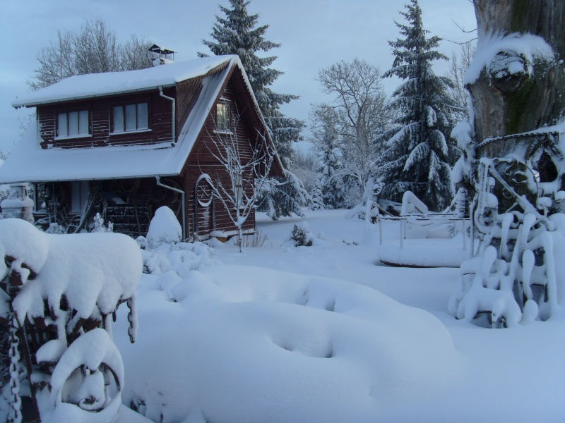 Vaizdas:2009 metų žiema 524.jpg