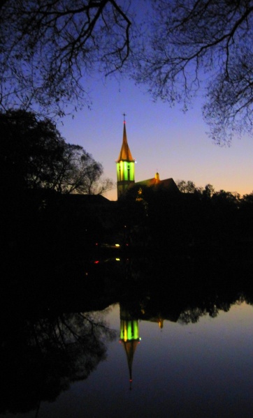 Vaizdas:Atspindys vandenyje 903.jpg