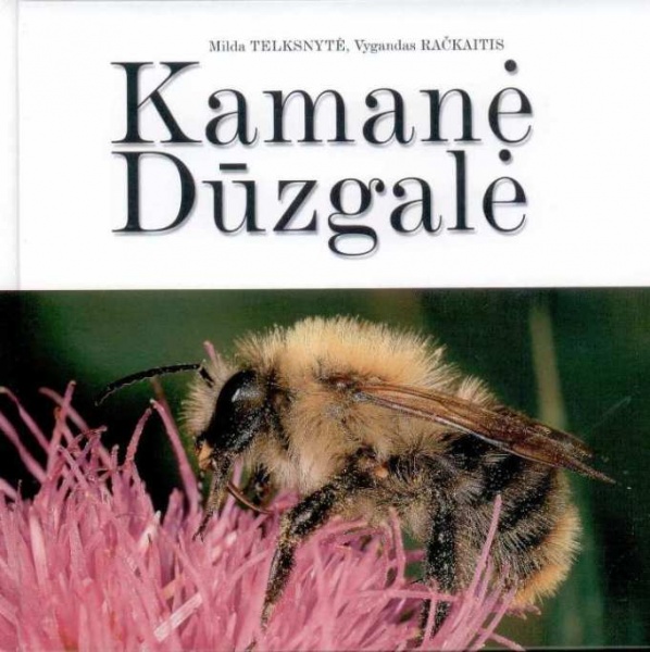 Vaizdas:Kamane 22.jpg