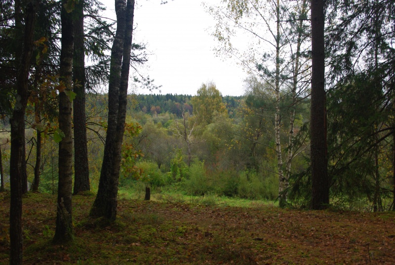 Vaizdas:Gamta 983.jpg