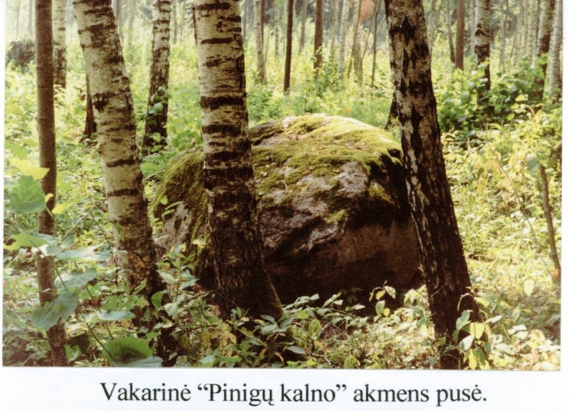 Vaizdas:C-Documents and SettingsMAXDesktopvakarai.JPG