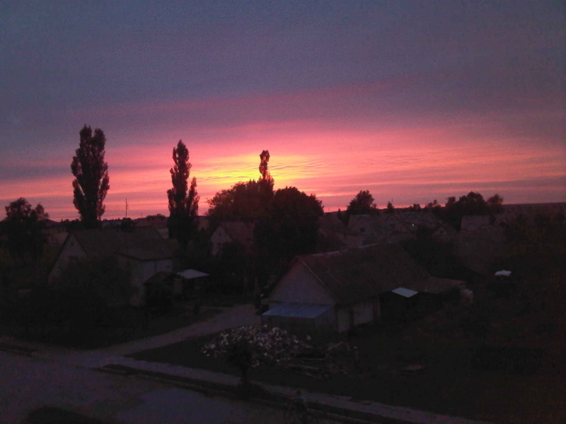 Vaizdas:Namų alėje 944.jpg