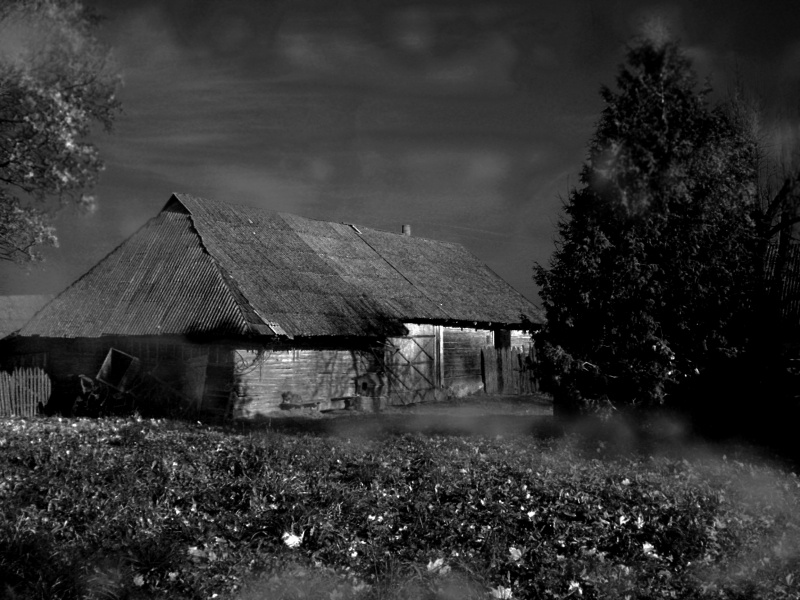 Vaizdas:Kūtė 239.jpg