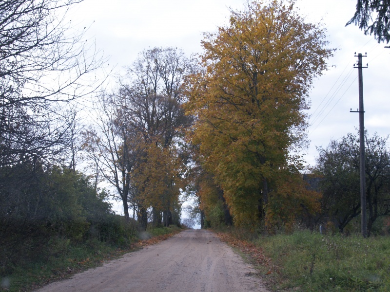 Vaizdas:Sodelės vieškelis vedęs į Sedą 928.jpg