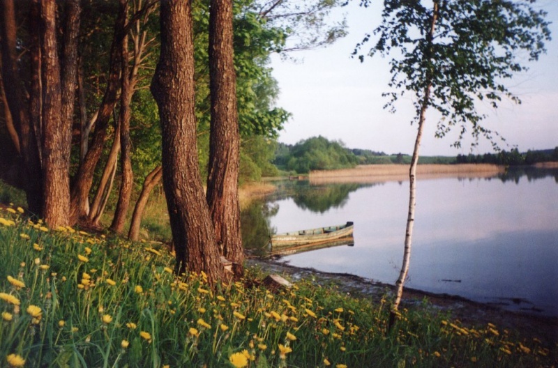 Vaizdas:Vakaras 175.jpg