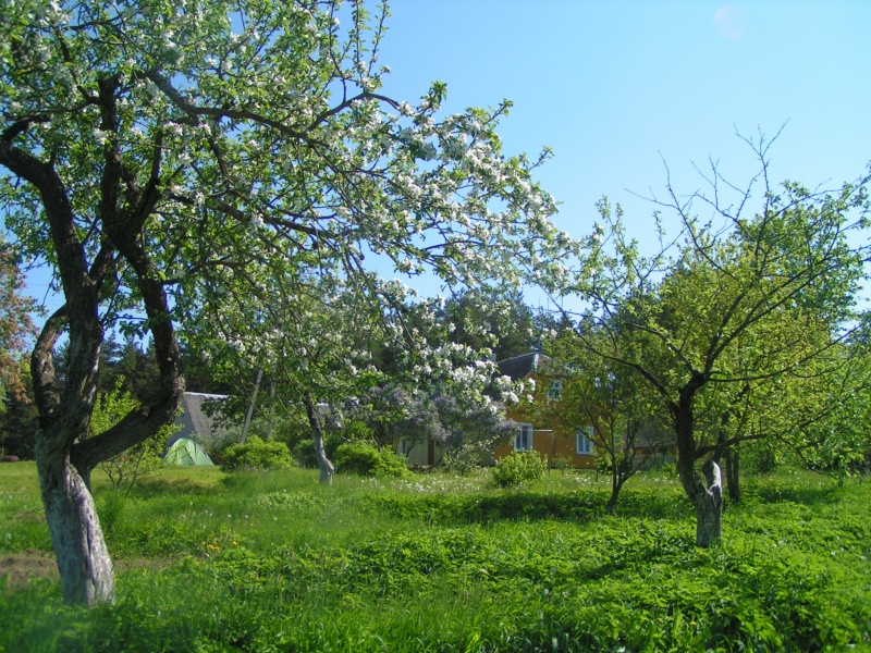 Vaizdas:Tėviškė 915.jpg