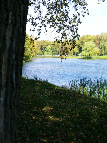 Vaizdas:Šakių ežeras ir tiltas 461.jpg
