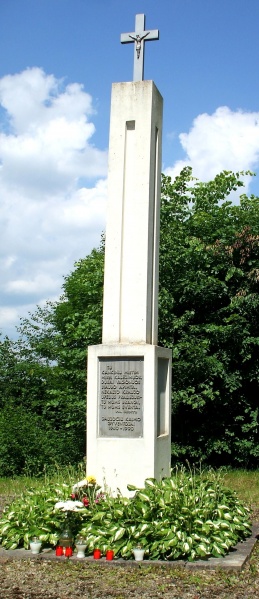 Vaizdas:Kryžius Daujočių kaime 444.jpg