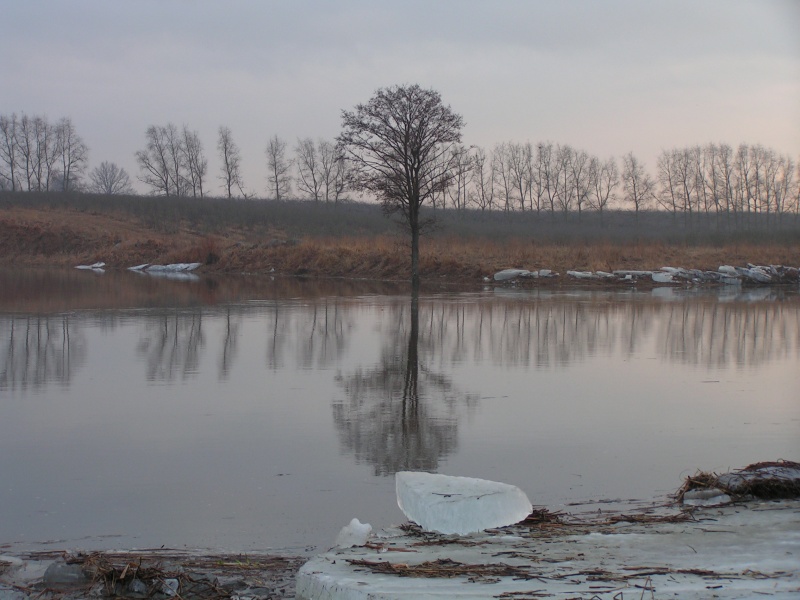 Vaizdas:Vaidziun 638.jpg