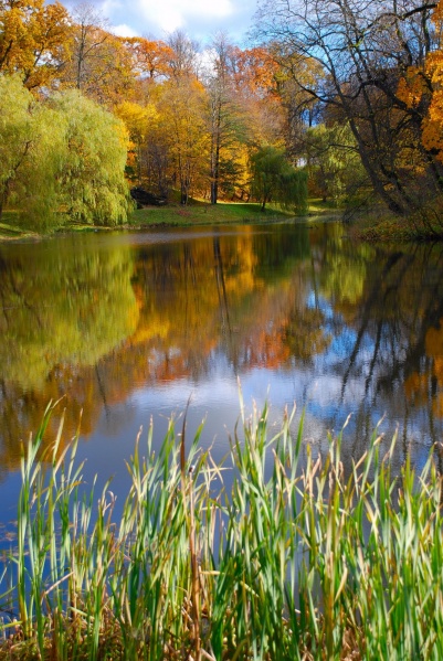 Vaizdas:Žemaitiško rudens gražumas 654.jpg