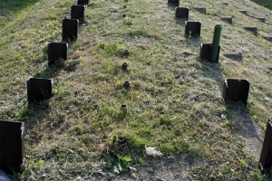 Prie Biržų bažnyčios tylėjo kikilis