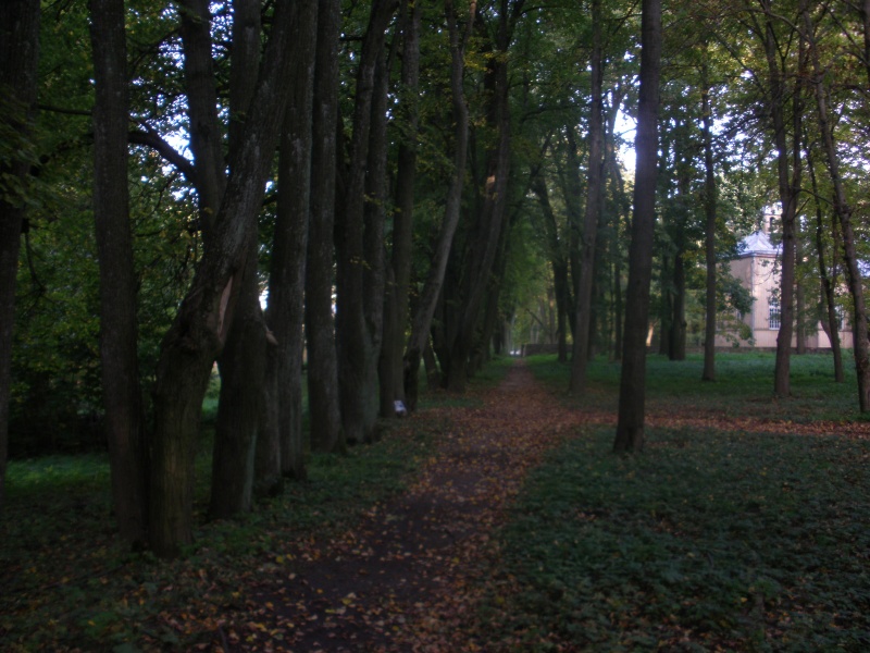 Vaizdas:Salų parkas Link dvaro ir bažnyčios 342.jpg