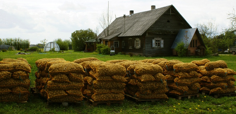 Vaizdas:Aukštaitiška gryčia 284.jpg