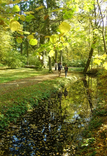 Vaizdas:Rudens impresija 693.jpg