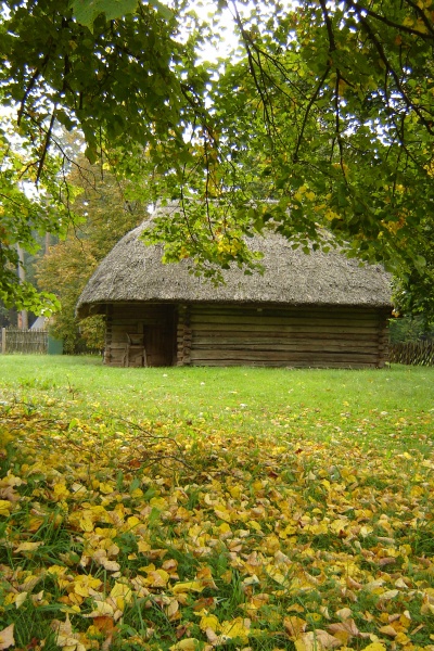 Vaizdas:Ruduo Rumšiškėse 397.jpg