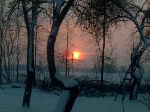 Palydėk saulę. Medvišių kaimas, Prienų rajonas