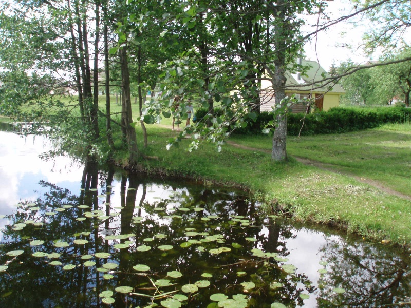 Vaizdas:Ruduo. Sariai 958.jpg