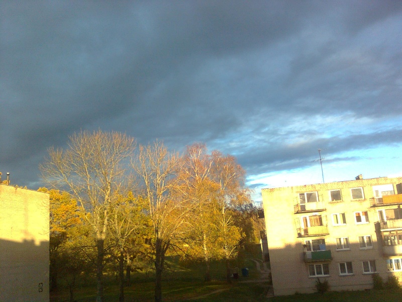 Vaizdas:11. Eičiai prieš audrą 406.jpg
