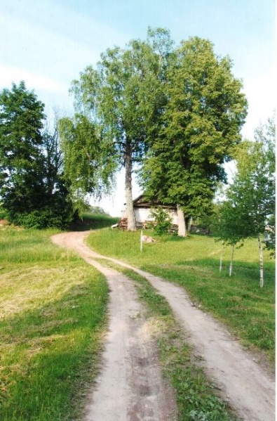 Vaizdas:Daug metų numindžiotu keliu 723.jpg