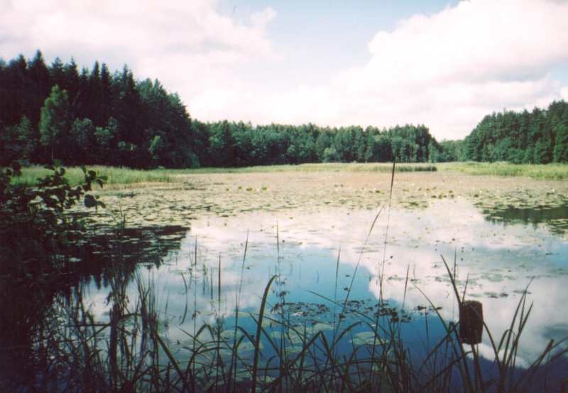 Vaizdas:Kviečia parymot 813.jpg