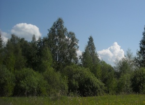 Zarasų ra. Ąžuolo takas