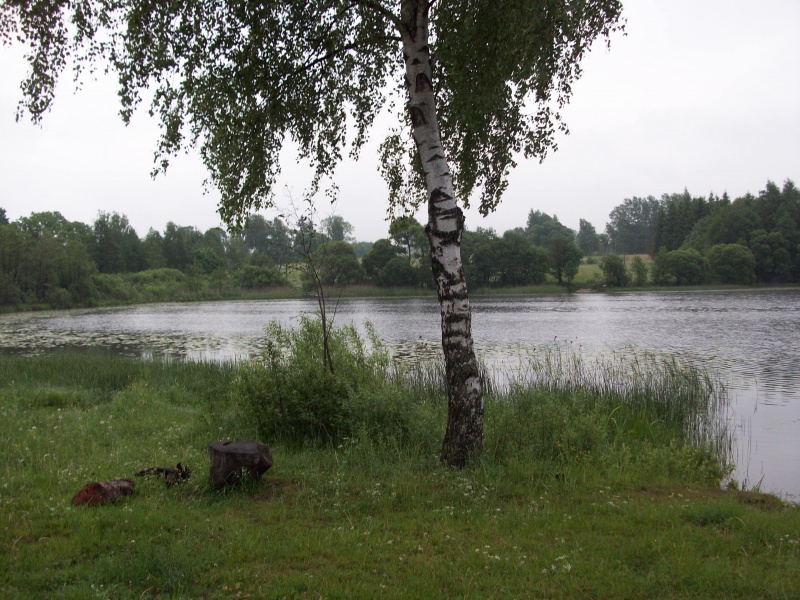 Vaizdas:D-VUDESKTOPPicture 006.jpg
