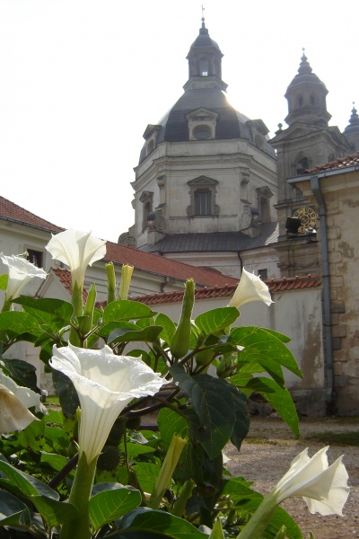 Vaizdas:Kamandulių vienuolynas 158.jpg