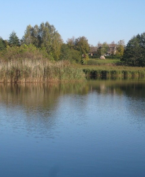 Vaizdas:Tvenkinys 815.jpg