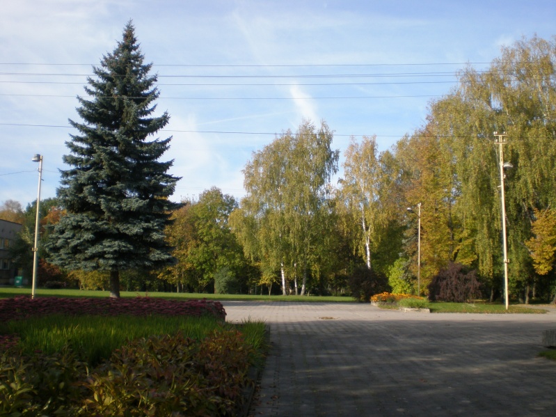 Vaizdas:Ruduo Joniškio parke 182.jpg