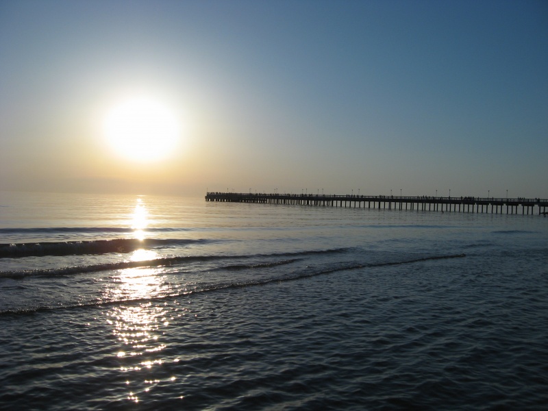 Vaizdas:Palanga 2o1o 937.jpg