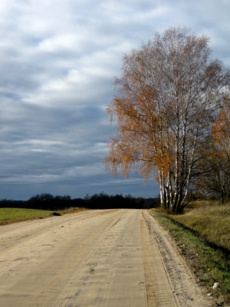 Vaizdas:Grįštu namo 954.jpg