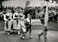 Vaizdas:Dainuvos slenis.jpg